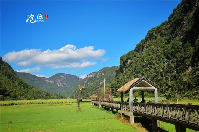 救援鹦鹉